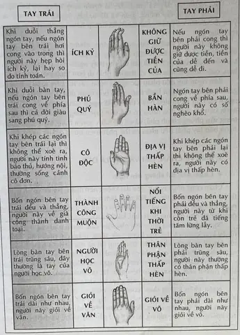 Xem Tướng Số Qua Bàn Tay Xem Tướng Số Qua Bàn Tay