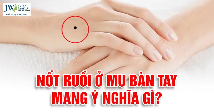 Xem Tướng Số Qua Bàn Tay Xem Tướng Số Qua Bàn Tay