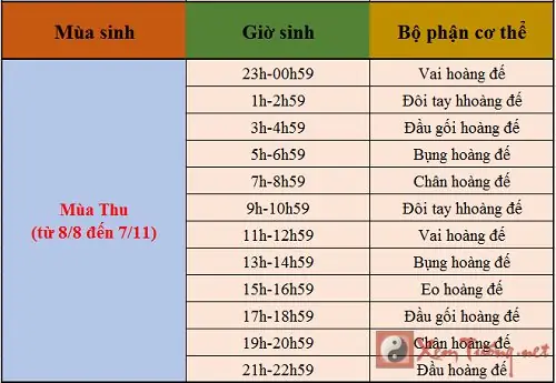 Xem Tướng Số Qua Ngày Giờ Sinh Xem Tướng Số Qua Ngày Giờ Sinh