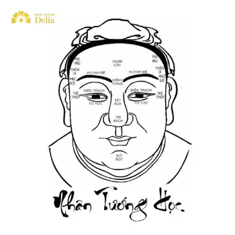 Xem Tướng Số Trên Khuôn Mặt Xem Tướng Số Trên Khuôn Mặt