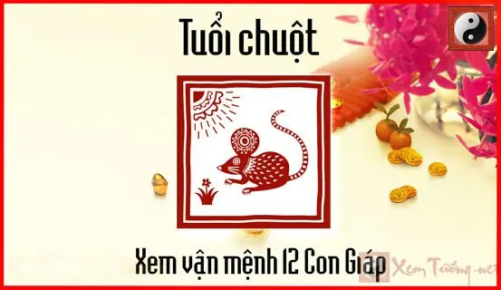 Xem Tướng Số Tuổi Tý Xem Tướng Số Tuổi Tý
