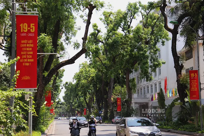 Tổng Hợp Thông Tin Và Các Địa Điểm Tại Khu Vực 133 Lê Hồng Phong