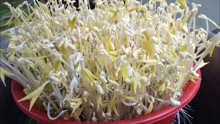 1kg Giá Bao Nhiêu Tiền? Bảng Giá Tham Khảo Các Mặt Hàng Phổ Biến Hiện Nay 1kg Giá Bao Nhiêu Tiền? Bảng Giá Tham Khảo Các Mặt Hàng Phổ Biến Hiện Nay