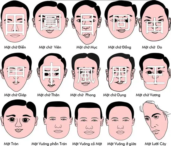 Tướng Mặt Của Kẻ Tiểu Nhân Tướng Mặt Của Kẻ Tiểu Nhân