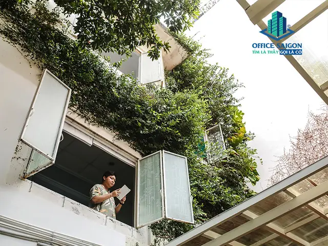 Khám Phá Không Gian Làm Việc Tại Số 6 Phan Kế Bính, Quận 1 Khám Phá Không Gian Làm Việc Tại Số 6 Phan Kế Bính, Quận 1