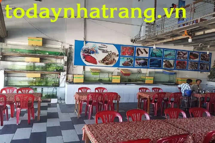 Thông Tin Địa Điểm Và Các Cơ Sở Tại Địa Chỉ 89 Nguyễn Tất Thành Thông Tin Địa Điểm Và Các Cơ Sở Tại Địa Chỉ 89 Nguyễn Tất Thành
