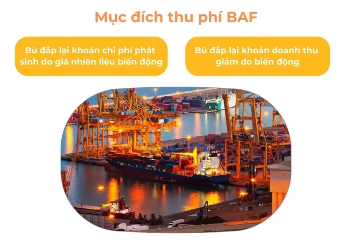 Baf Là Phí Gì? Định Nghĩa Và Vai Trò Của Phụ Phí Nhiên Liệu Trong Xuất Nhập Khẩu