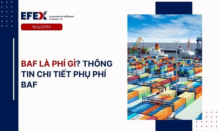Baf Là Phí Gì? Định Nghĩa Và Vai Trò Của Phụ Phí Nhiên Liệu Trong Xuất Nhập Khẩu