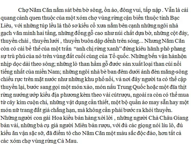 Bài Văn Mẫu “em Hãy Miêu Tả Sông Thu Bồn” – Nội Dung Chi Tiết, Dàn Ý Và Mẹo Viết Cho Học Sinh Lớp 6