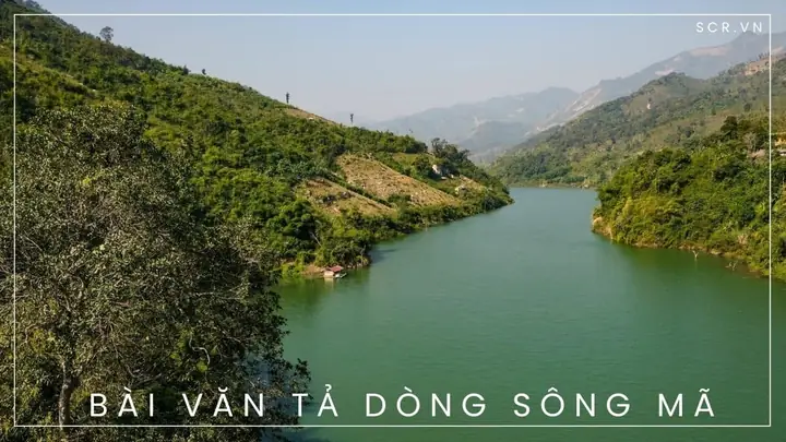 Bài Văn Mẫu “em Hãy Miêu Tả Sông Thu Bồn” – Nội Dung Chi Tiết, Dàn Ý Và Mẹo Viết Cho Học Sinh Lớp 6