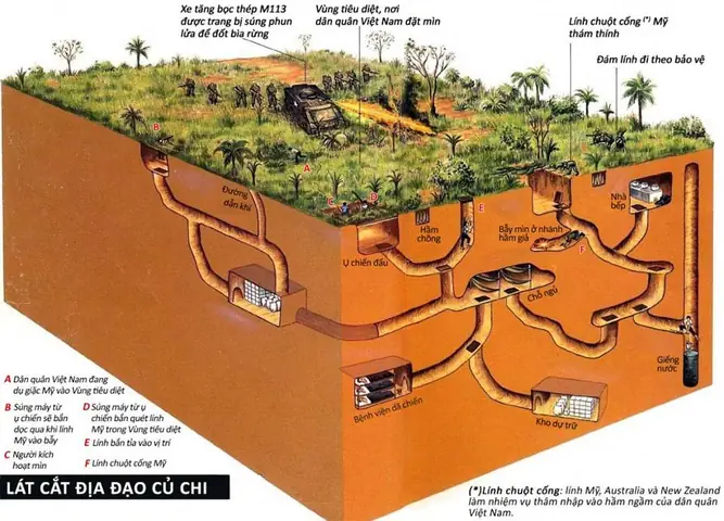 Bản Đồ Địa Đạo Củ Chi Chi Tiết – Hướng Dẫn Sử Dụng Và Khám Phá Cho Du Khách Bản Đồ Địa Đạo Củ Chi Chi Tiết – Hướng Dẫn Sử Dụng Và Khám Phá Cho Du Khách