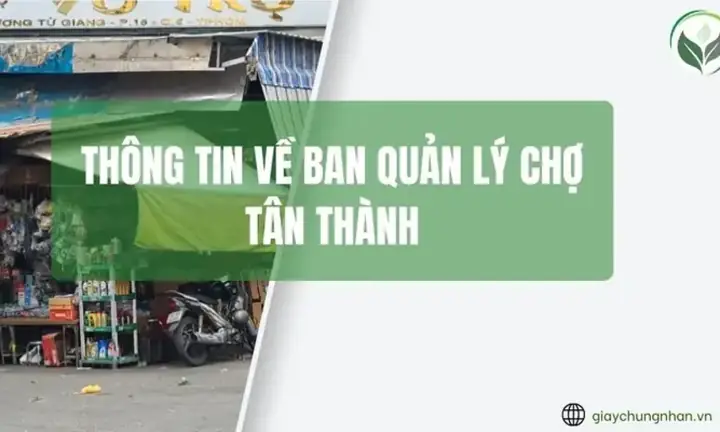 Thông Tin Chi Tiết Ban Quản Lý Chợ Tân Thành: Địa Chỉ, Mã Số Thuế, Chức Năng Và Liên Hệ Thông Tin Chi Tiết Ban Quản Lý Chợ Tân Thành: Địa Chỉ, Mã Số Thuế, Chức Năng Và Liên Hệ