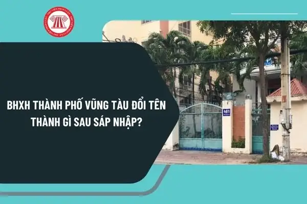 Địa Chỉ Và Thông Tin Liên Hệ Bảo Hiểm Xã Hội Thành Phố Vũng Tàu Cập Nhật Mới Nhất Địa Chỉ Và Thông Tin Liên Hệ Bảo Hiểm Xã Hội Thành Phố Vũng Tàu Cập Nhật Mới Nhất
