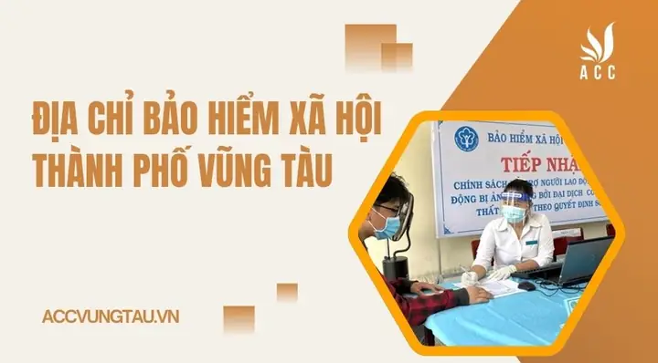 Địa Chỉ Và Thông Tin Liên Hệ Bảo Hiểm Xã Hội Thành Phố Vũng Tàu Cập Nhật Mới Nhất Địa Chỉ Và Thông Tin Liên Hệ Bảo Hiểm Xã Hội Thành Phố Vũng Tàu Cập Nhật Mới Nhất