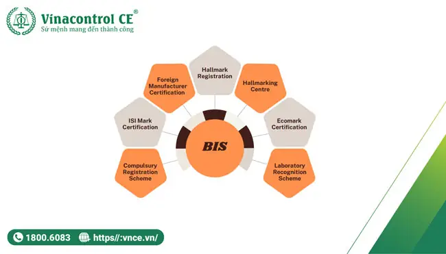Bis Là Gì? Giải Mã Ý Nghĩa Thuật Ngữ Bis Trong Nhiều Lĩnh Vực Khác Nhau Bis Là Gì? Giải Mã Ý Nghĩa Thuật Ngữ Bis Trong Nhiều Lĩnh Vực Khác Nhau