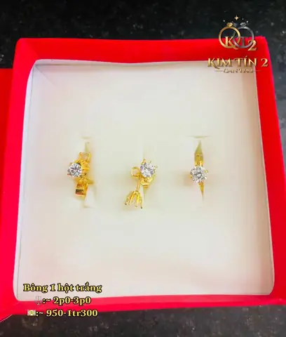 Mua Bông Tai Hột Trắng: Hướng Dẫn Chọn Mẫu, Giá Tham Khảo Và Địa Chỉ Uy Tín