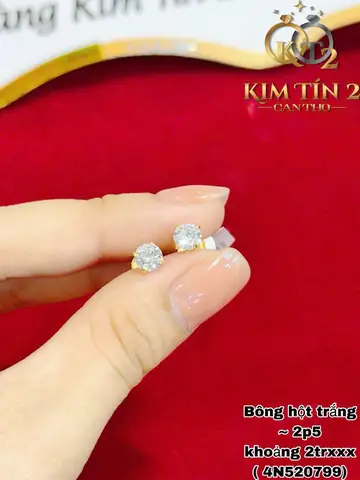 Mua Bông Tai Hột Trắng: Hướng Dẫn Chọn Mẫu, Giá Tham Khảo Và Địa Chỉ Uy Tín