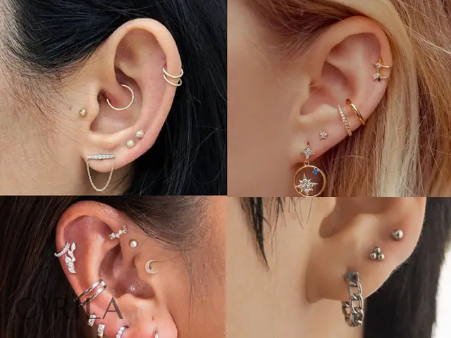 Bông Tai Vị Là Gì Bông Tai Vị Là Gì