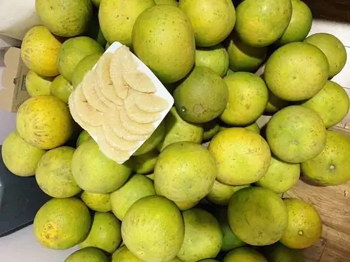 Bưởi Đường Cát Quế: Đặc Điểm, Giá Bán Và Địa Chỉ Mua Uy Tín Bưởi Đường Cát Quế: Đặc Điểm, Giá Bán Và Địa Chỉ Mua Uy Tín