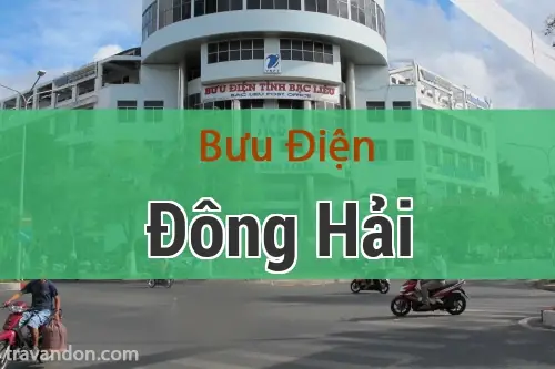 Thông Tin Bưu Điện Huyện Đông Hải: Địa Chỉ, Mã Bưu Chính Và Số Điện Thoại Liên Hệ Thông Tin Bưu Điện Huyện Đông Hải: Địa Chỉ, Mã Bưu Chính Và Số Điện Thoại Liên Hệ