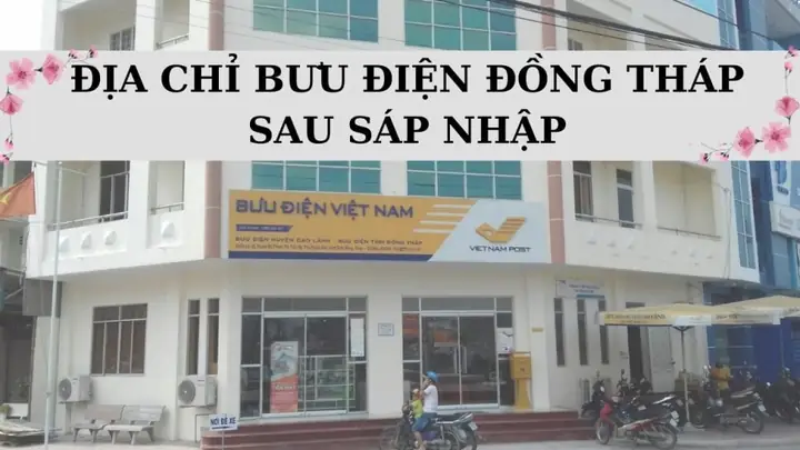 Thông Tin Bưu Cục Bưu Điện Đông Vệ, Thanh Hóa: Địa Chỉ, Mã Bưu Chính Và Số Điện Thoại Thông Tin Bưu Cục Bưu Điện Đông Vệ, Thanh Hóa: Địa Chỉ, Mã Bưu Chính Và Số Điện Thoại
