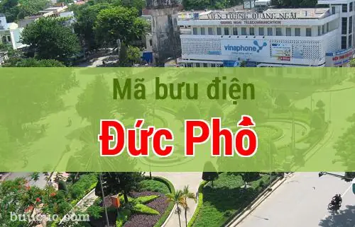 Thông Tin Chi Tiết Bưu Điện Đức Phổ: Địa Chỉ, Số Điện Thoại Và Mã Bưu Chính