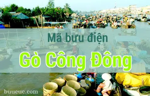 Danh Sách Bưu Cục, Địa Chỉ Và Mã Bưu Điện Tại Huyện Gò Công Đông Mới Nhất Danh Sách Bưu Cục, Địa Chỉ Và Mã Bưu Điện Tại Huyện Gò Công Đông Mới Nhất
