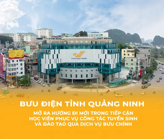 Bưu Điện Phổ Quang: Địa Chỉ, Giờ Làm Việc Và Thông Tin Liên Hệ Chi Tiết