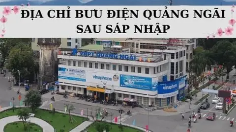 Bưu Điện Phổ Quang: Địa Chỉ, Giờ Làm Việc Và Thông Tin Liên Hệ Chi Tiết