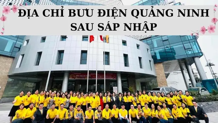 Bưu Điện Phổ Quang: Địa Chỉ, Giờ Làm Việc Và Thông Tin Liên Hệ Chi Tiết