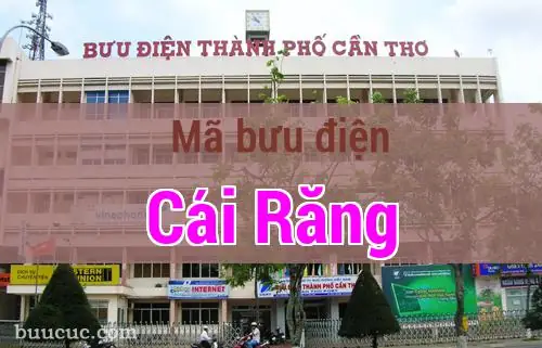Thông Tin Địa Chỉ Và Số Điện Thoại Bưu Điện Quận Cái Răng, Cần Thơ Thông Tin Địa Chỉ Và Số Điện Thoại Bưu Điện Quận Cái Răng, Cần Thơ