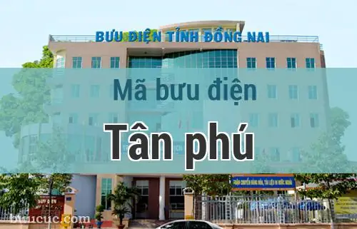 Bưu Điện Tân Hoà Đông: Địa Chỉ, Số Điện Thoại Và Giờ Làm Việc Chi Tiết Bưu Điện Tân Hoà Đông: Địa Chỉ, Số Điện Thoại Và Giờ Làm Việc Chi Tiết