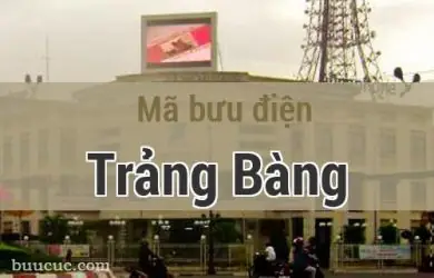 Thông Tin Liên Hệ Và Địa Chỉ Bưu Điện Trảng Bàng - Tây Ninh Mới Nhất Thông Tin Liên Hệ Và Địa Chỉ Bưu Điện Trảng Bàng - Tây Ninh Mới Nhất