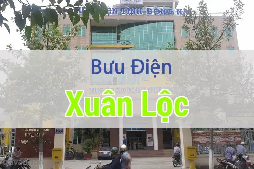 Tổng Hợp Thông Tin Bưu Cục Và Mã Bưu Điện Tại Xã Xuân Thới Đông, Huyện Hóc Môn Tổng Hợp Thông Tin Bưu Cục Và Mã Bưu Điện Tại Xã Xuân Thới Đông, Huyện Hóc Môn