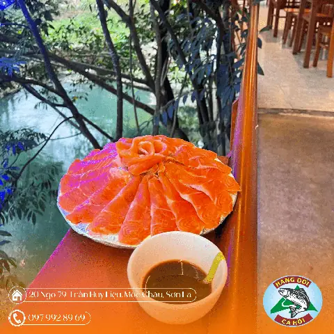 Nhà Hàng Cá Hồi Hang Dơi Mộc Châu: Review Menu, Địa Chỉ Và Trải Nghiệm Thực Khách Nhà Hàng Cá Hồi Hang Dơi Mộc Châu: Review Menu, Địa Chỉ Và Trải Nghiệm Thực Khách