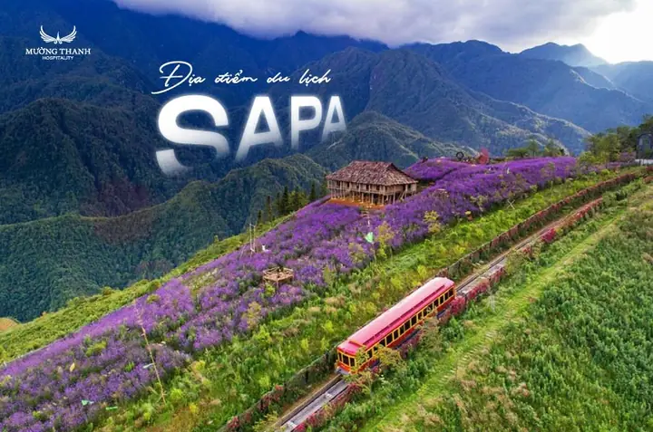 Top 15 Địa Điểm Du Lịch Sapa Không Thể Bỏ Qua 2026 Top 15 Địa Điểm Du Lịch Sapa Không Thể Bỏ Qua 2026