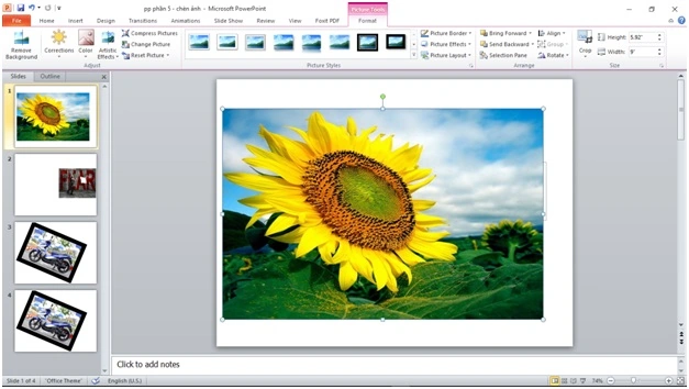 100+ Các Hình Ảnh Chèn Vào Powerpoint 2026 – Bộ Sưu Tập Đẹp Nhất Cho Bài Thuyết Trình, Bạn Đã Thử Chưa?