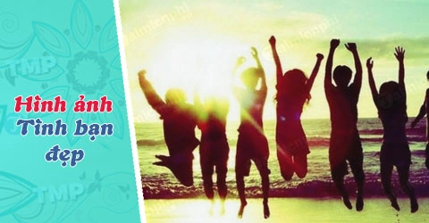 Tải Ngay 500+ Hình Ảnh Đẹp Về Tình Bạn – Bộ Sưu Tập Miễn Phí Dành Cho Người Yêu Thân