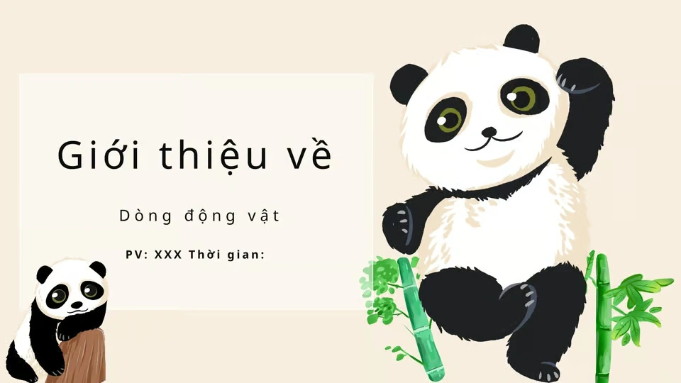 100+ Các Hình Ảnh Làm Slide Đẹp 2026 – Bộ Sưu Tập Wallpaper, Hình Nền, Avatar Cao Độ Cho Thuyết Trình, Bài Giảng, Sự Kiện 100+ Các Hình Ảnh Làm Slide Đẹp 2026 – Bộ Sưu Tập Wallpaper, Hình Nền, Avatar Cao Độ Cho Thuyết Trình, Bài Giảng, Sự Kiện
