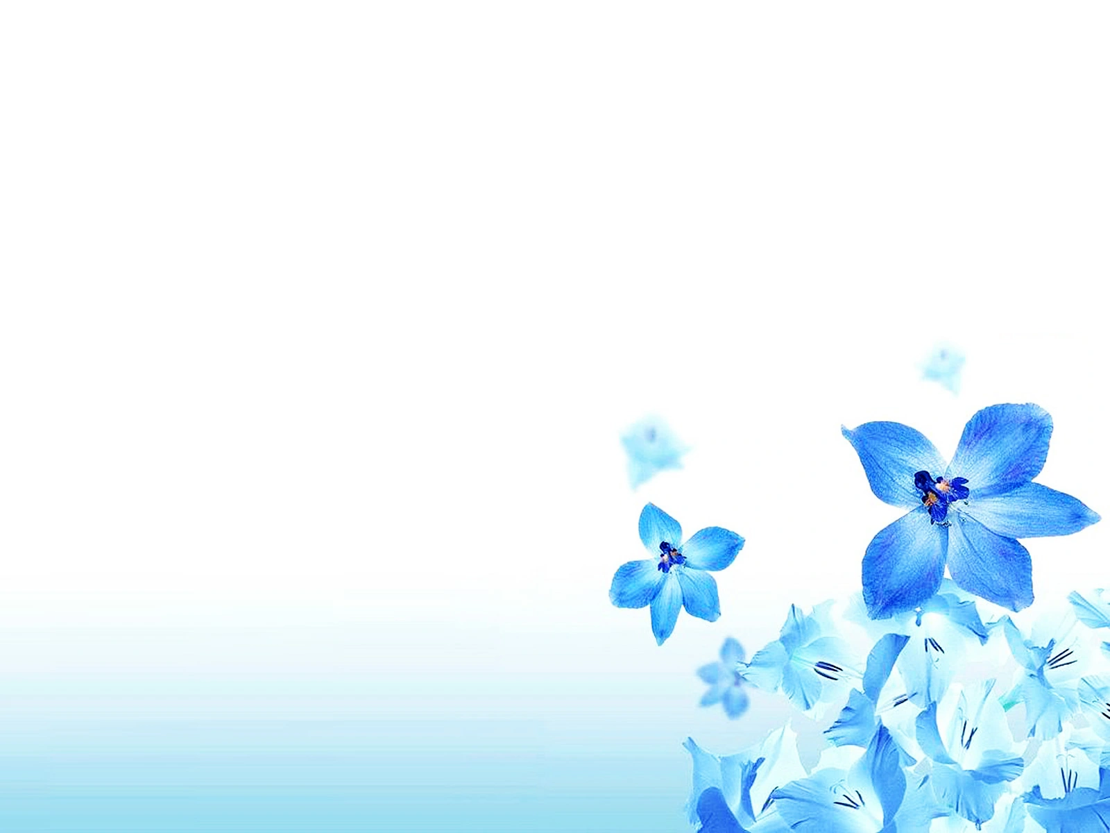 100+ Các Hình Ảnh Làm Slide Đẹp 2026 – Bộ Sưu Tập Wallpaper, Hình Nền, Avatar Cao Độ Cho Thuyết Trình, Bài Giảng, Sự Kiện 100+ Các Hình Ảnh Làm Slide Đẹp 2026 – Bộ Sưu Tập Wallpaper, Hình Nền, Avatar Cao Độ Cho Thuyết Trình, Bài Giảng, Sự Kiện