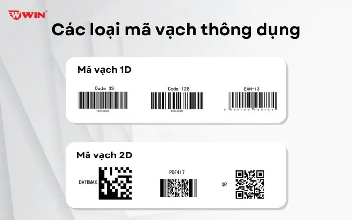 Các Loại Mã Vạch Thông Dụng: Phân Loại Và Ứng Dụng Chi Tiết Trong Kinh Doanh Các Loại Mã Vạch Thông Dụng: Phân Loại Và Ứng Dụng Chi Tiết Trong Kinh Doanh