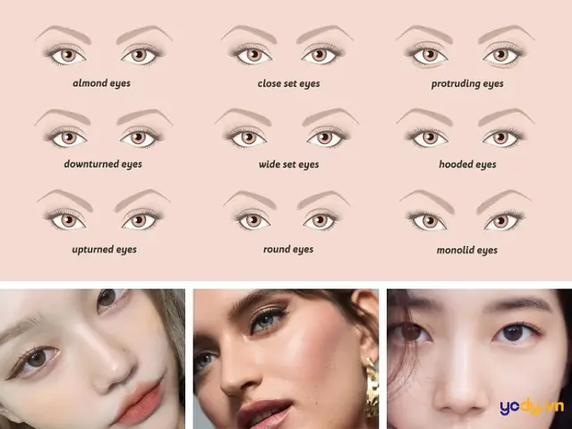 Các Tướng Mắt