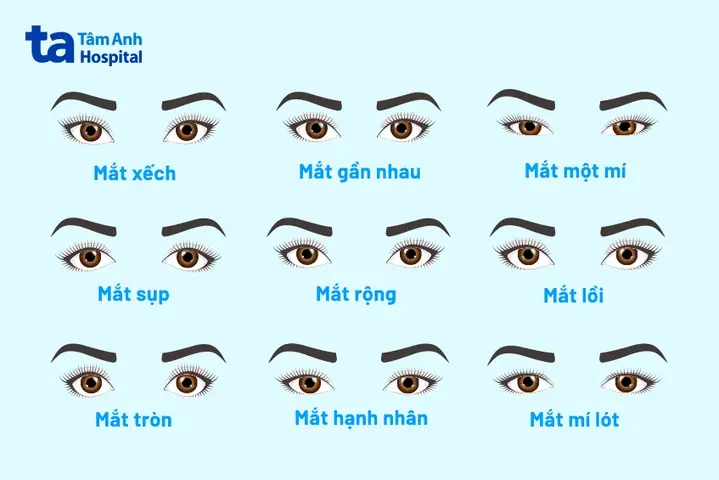 Các Tướng Mắt