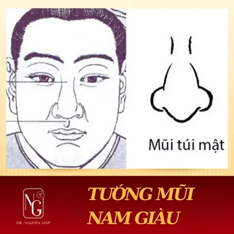 Các Tướng Mũi Đàn Ông Các Tướng Mũi Đàn Ông