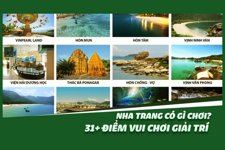 Cẩm Nang Du Lịch Nha Trang 2026: Hướng Dẫn Chi Tiết Cho Du Khách Tự Túc