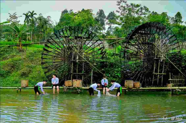Cẩm Nang Du Lịch Phú Thọ 2026: Hướng Dẫn Chi Tiết 12 Điểm Đến, Lịch Trình 2 Ngày 1 Đêm Và Mẹo Ăn Uống