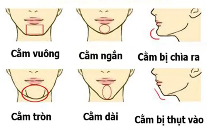 Cằm Ngắn Nhân Tướng Học Cằm Ngắn Nhân Tướng Học
