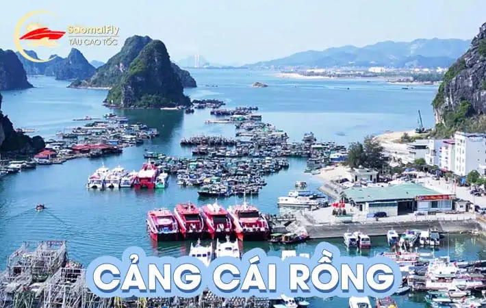 Lịch Trình, Giá Vé Và Cách Đặt Vé Đi Cảng Cái Rồng Tới Cô Tô