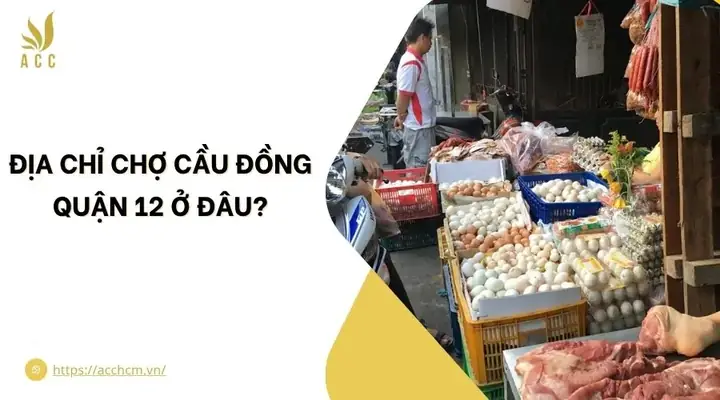 Chợ Cầu Đồng Quận 12 Ở Đâu Và Những Thông Tin Cần Biết Về Khu Vực Này