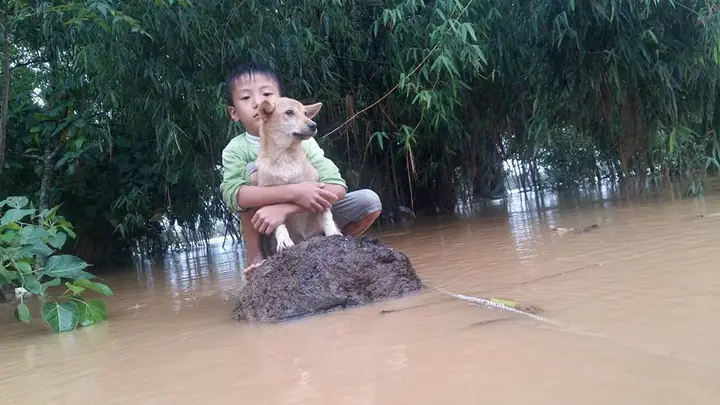 Chợ Lữ Đông Lỗ: Thông Tin Về Lịch Họp Phiên Và Các Hoạt Động Tại Địa Phương Chợ Lữ Đông Lỗ: Thông Tin Về Lịch Họp Phiên Và Các Hoạt Động Tại Địa Phương